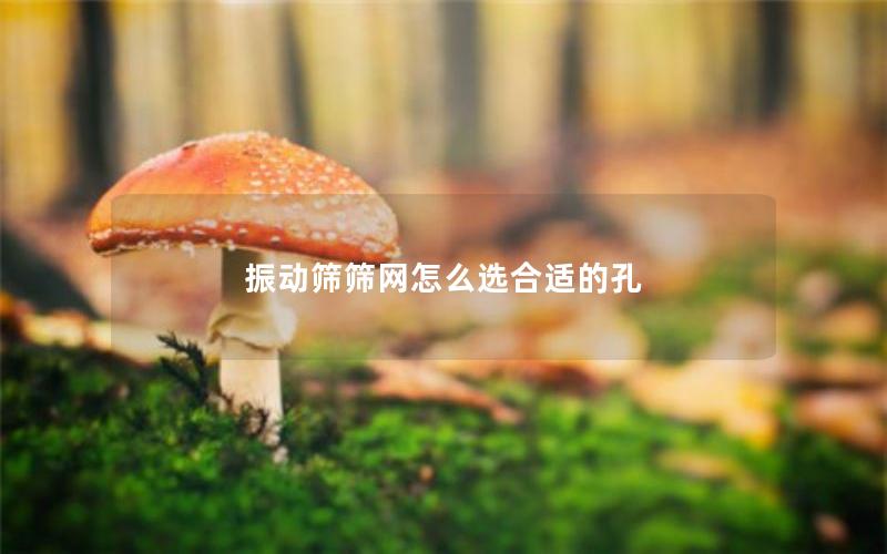 振动筛筛网怎么选合适的孔