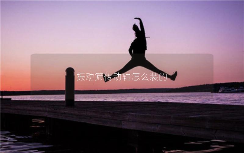 振动筛传动轴怎么装的