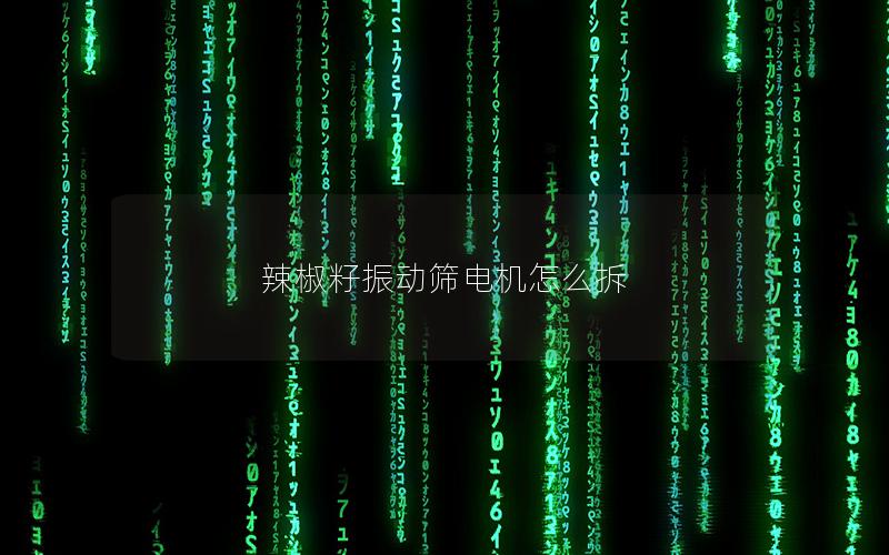 辣椒籽振动筛电机怎么拆 辣椒籽振动筛电机怎么拆