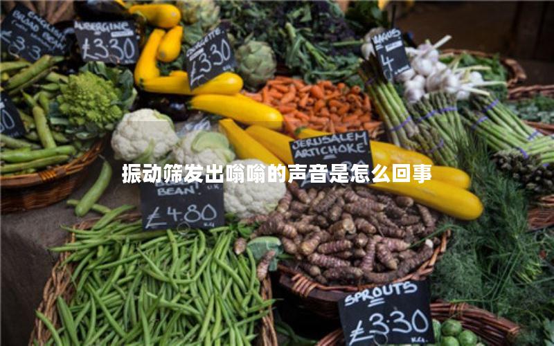 振动筛发出嗡嗡的声音是怎么回事