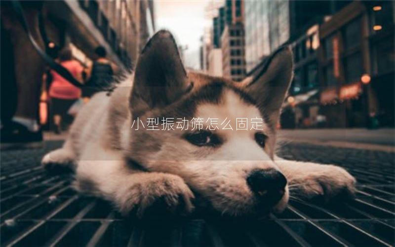 小型振动筛怎么固定