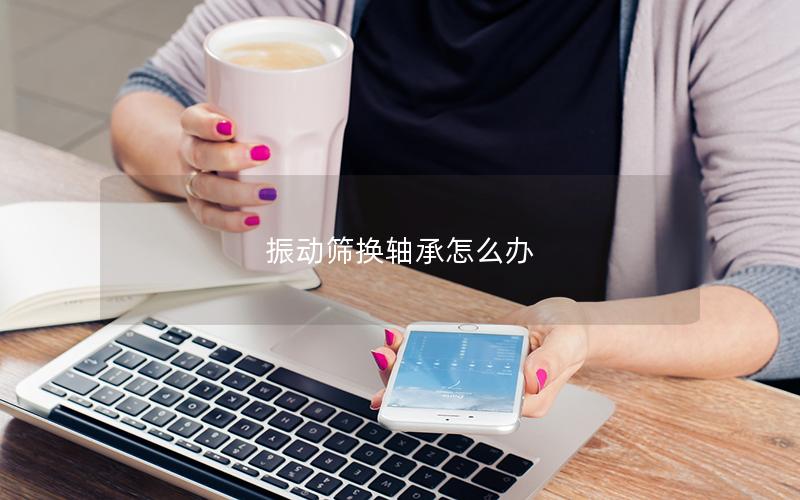 振动筛换轴承怎么办