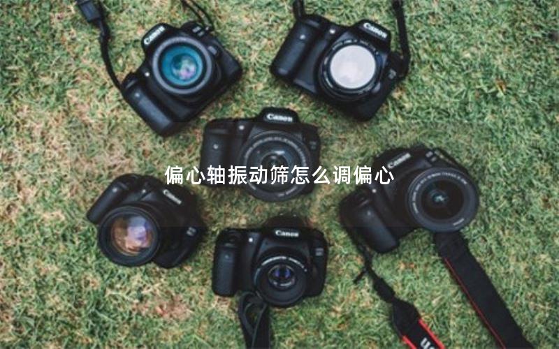 偏心轴振动筛怎么调偏心