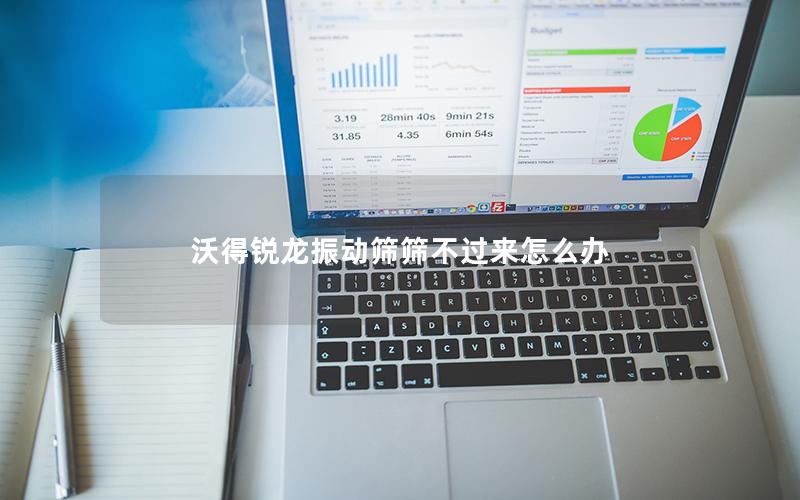 沃得锐龙振动筛筛不过来怎么办