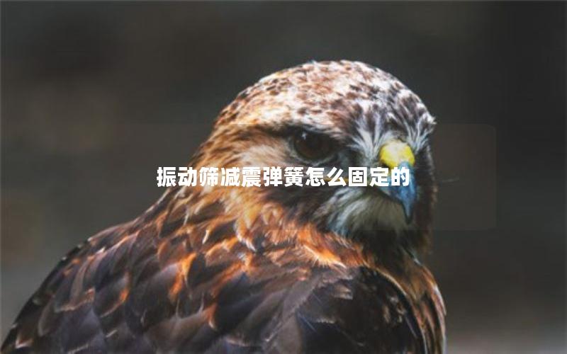 振动筛减震弹簧怎么固定的