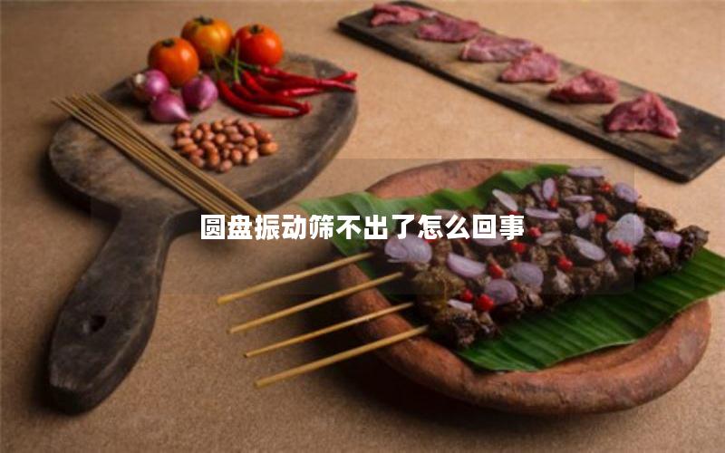 圆盘振动筛不出了怎么回事