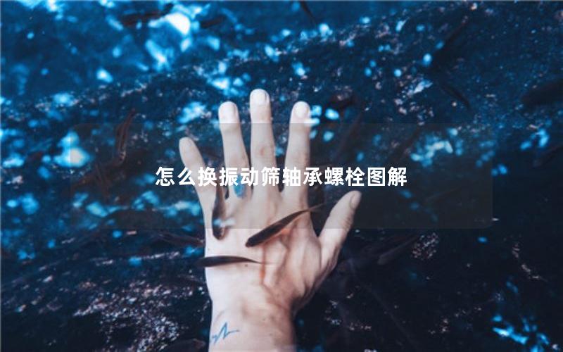 怎么换振动筛轴承螺栓图解