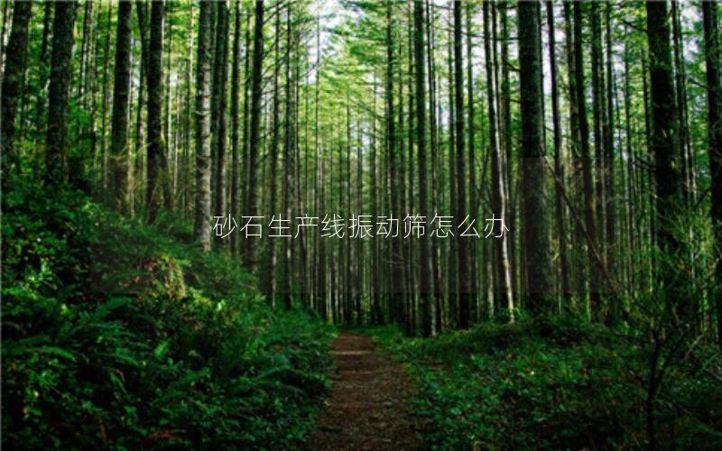 砂石生产线振动筛怎么办