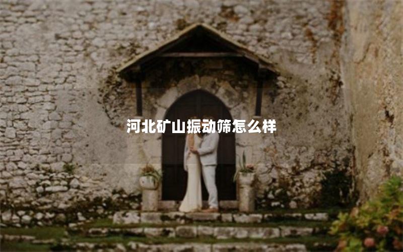 河北矿山振动筛怎么样