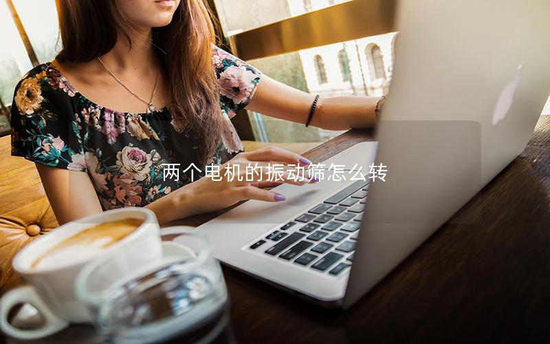 两个电机的振动筛怎么转