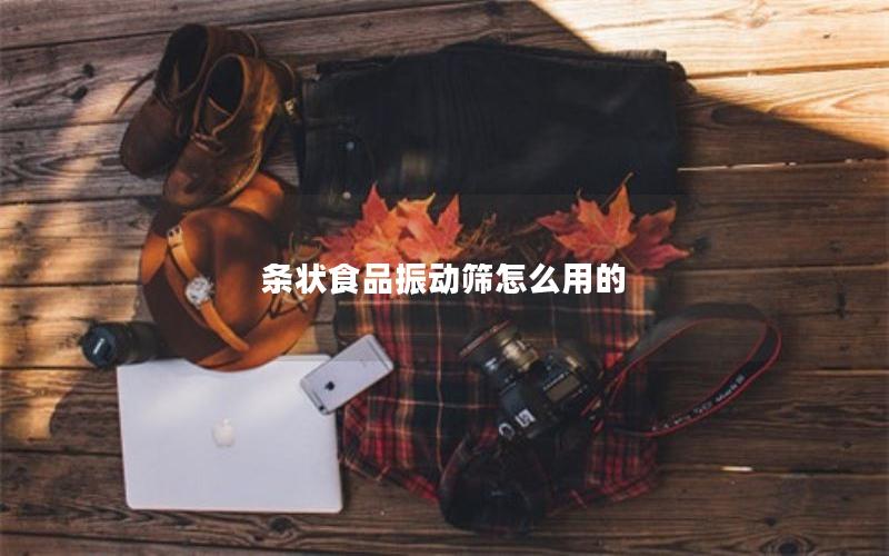 条状食品振动筛怎么用的