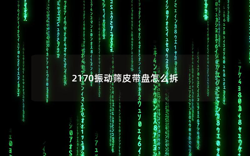 2170振动筛皮带盘怎么拆