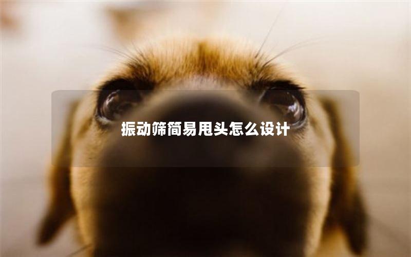 振动筛简易甩头怎么设计