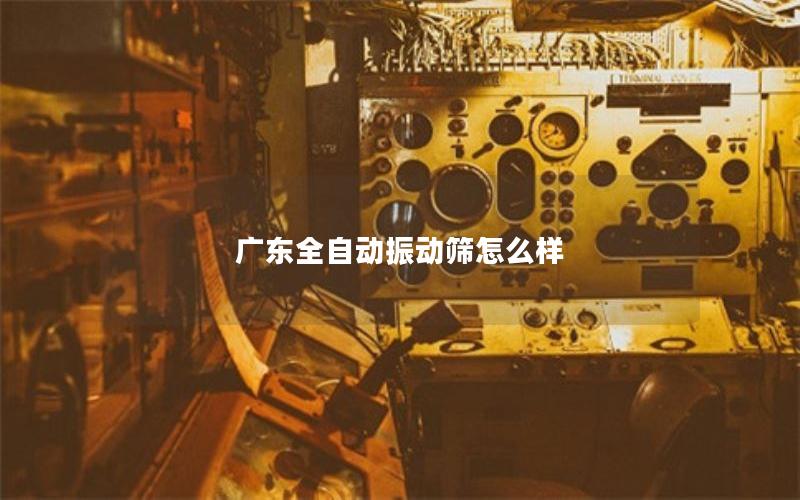 广东全自动振动筛怎么样