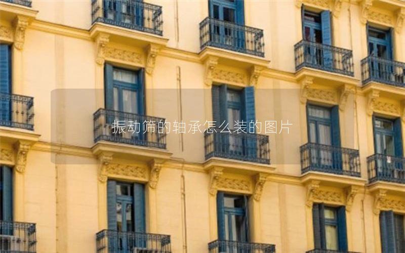 振动筛的轴承怎么装的图片