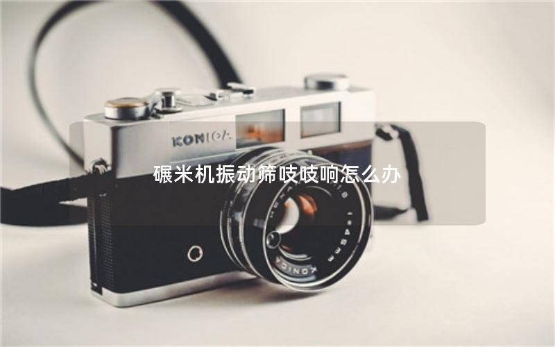 碾米机振动筛吱吱响怎么办