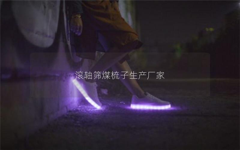 滚轴筛煤梳子生产厂家