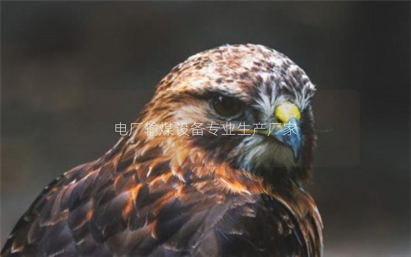 电厂输煤设备专业生产厂家