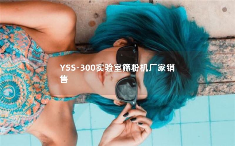 YSS-300实验室筛粉机厂家销售 YSS-300实验室筛粉机厂家销售