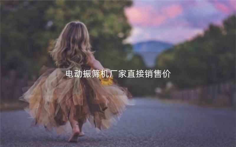 电动振筛机厂家直接销售价