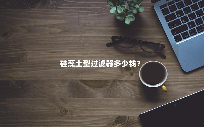 硅藻土型过滤器多少钱？