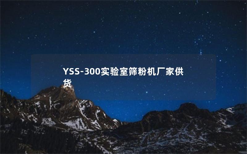 YSS-300实验室筛粉机厂家供货 YSS-300实验室筛粉机厂家供货