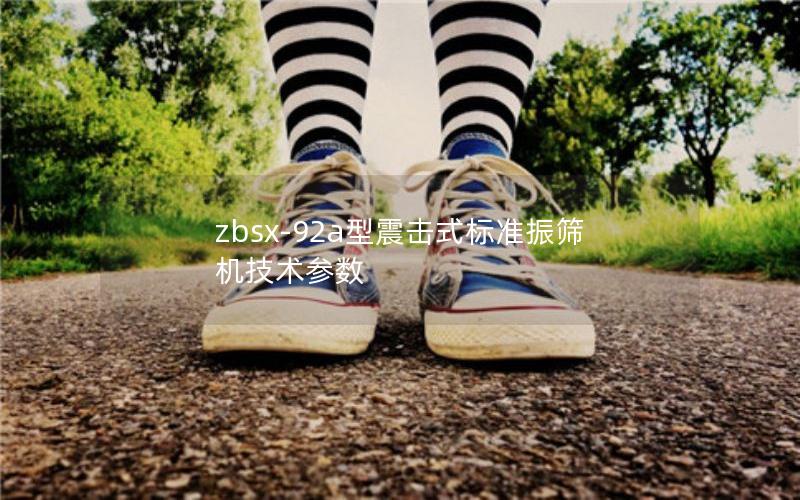 zbsx-92a型震击式标准振筛机技术参数 zbsx-92a型震击式标准振筛机技术参数