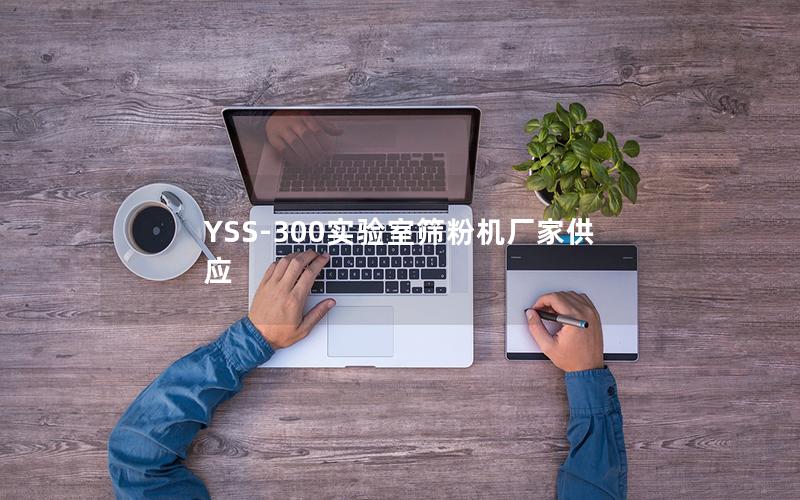 YSS-300实验室筛粉机厂家供应 YSS-300实验室筛粉机厂家供应