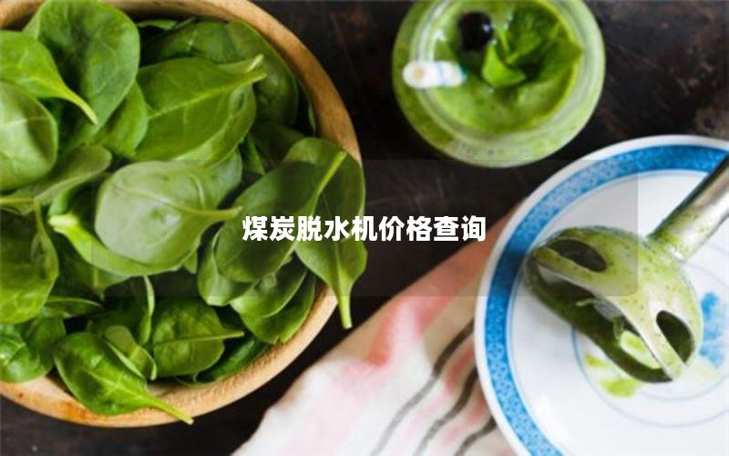 煤炭脱水机价格查询