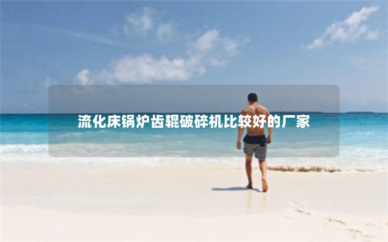 流化床锅炉齿辊破碎机比较好的厂家