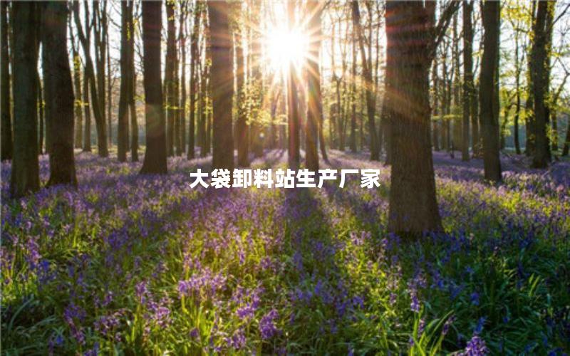 大袋卸料站生产厂家 大袋卸料站生产厂家