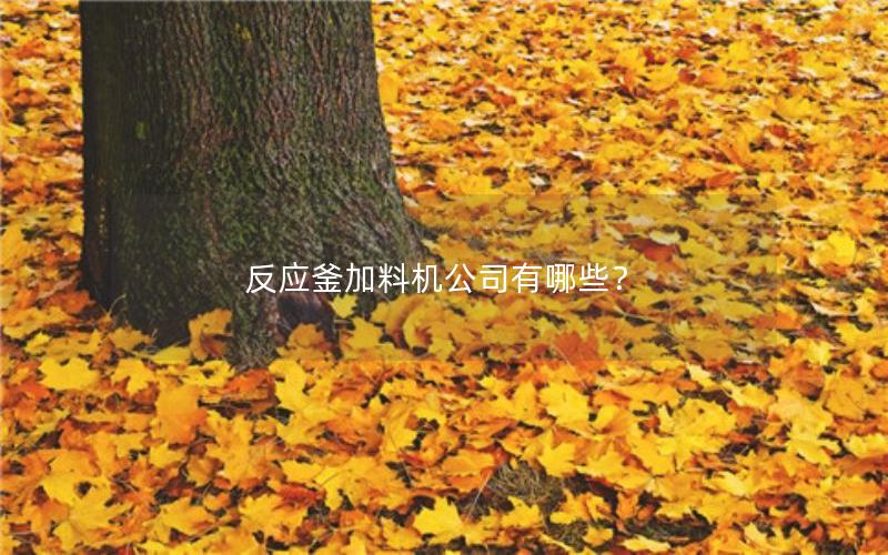 反应釜加料机公司有哪些? 反应釜加料机公司有哪些?