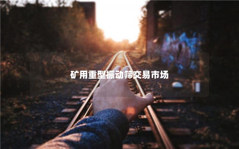 矿用重型振动筛交易市场