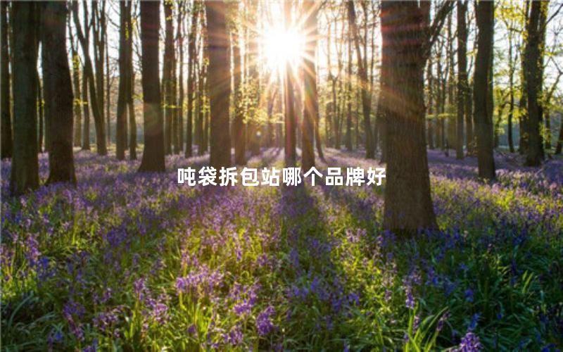 吨袋拆包站哪个品牌好 吨袋拆包站哪个品牌好