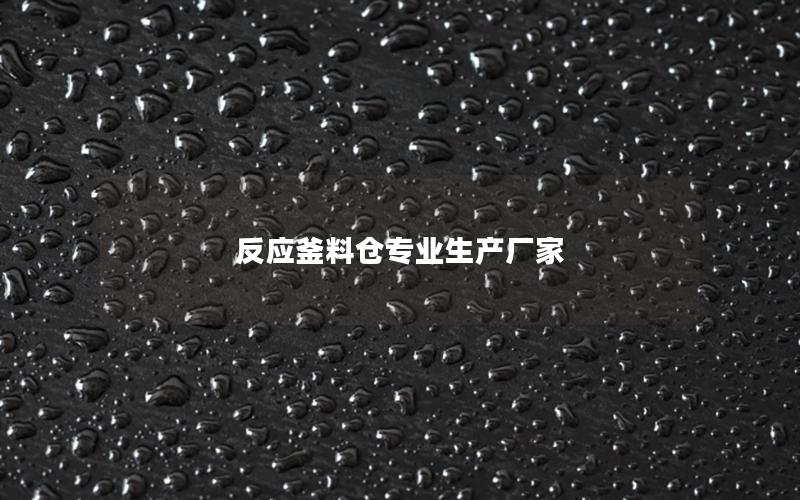 反应釜料仓专业生产厂家 反应釜料仓专业生产厂家