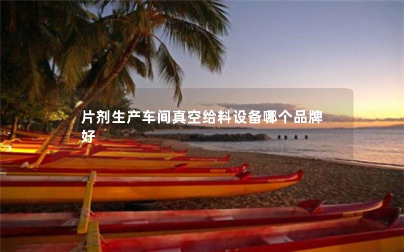 片剂生产车间真空给料设备哪个品牌好