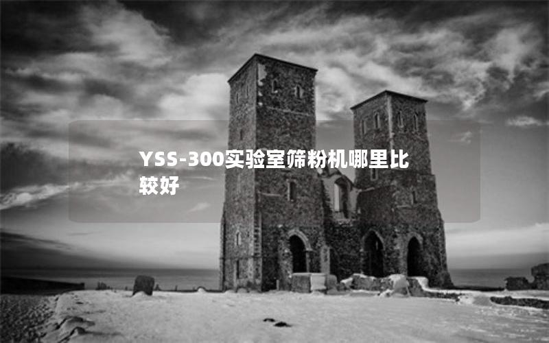 YSS-300实验室筛粉机哪里比较好 YSS-300实验室筛粉机哪里比较好