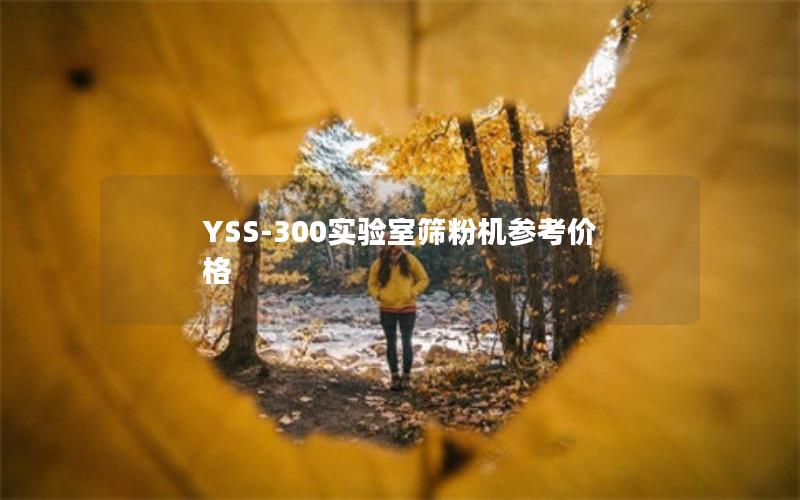 YSS-300实验室筛粉机参考价格 YSS-300实验室筛粉机参考价格