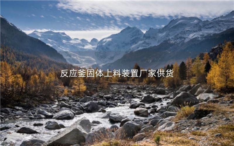 反应釜固体上料装置厂家供货 反应釜固体上料装置厂家供货