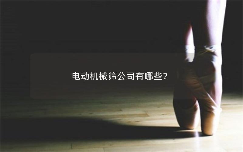 电动机械筛公司有哪些？