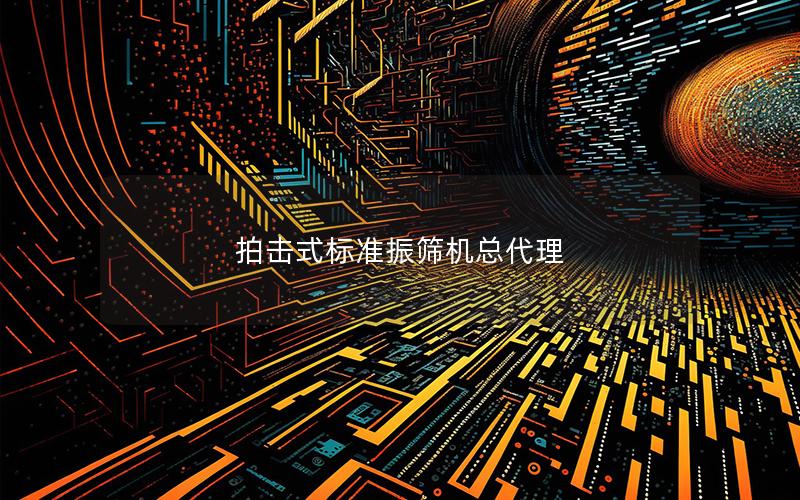 拍击式标准振筛机总代理