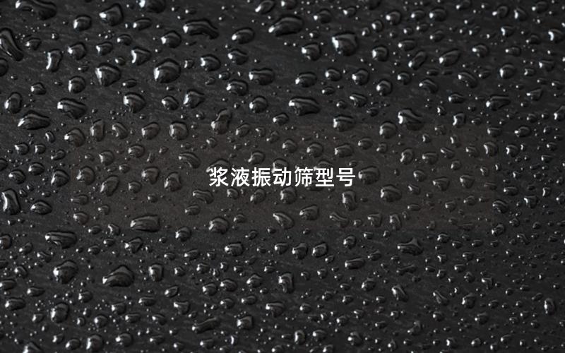 浆液振动筛型号