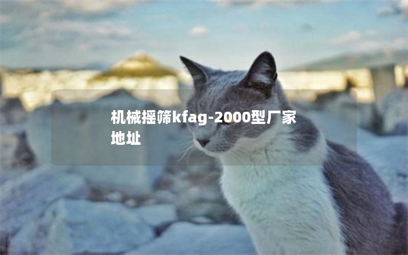 机械摇筛kfag-2000型厂家地址