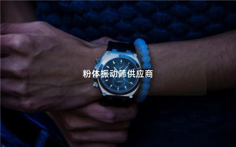 粉体振动筛供应商