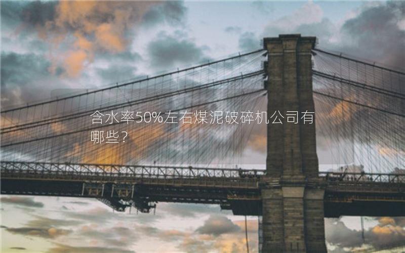 含水率50%左右煤泥破碎机公司有哪些? 含水率50%左右煤泥破碎机公司有哪些?