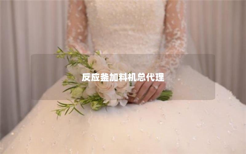 反应釜加料机总代理 反应釜加料机总代理