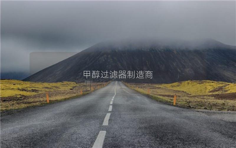 甲醇过滤器制造商