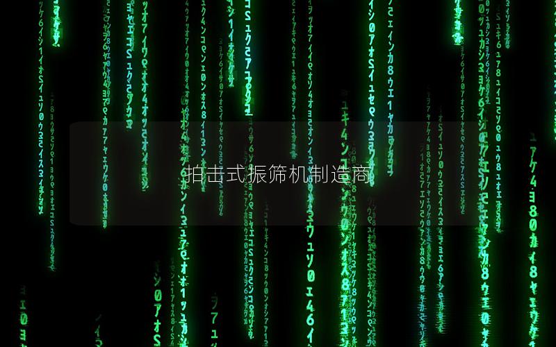 拍击式振筛机制造商