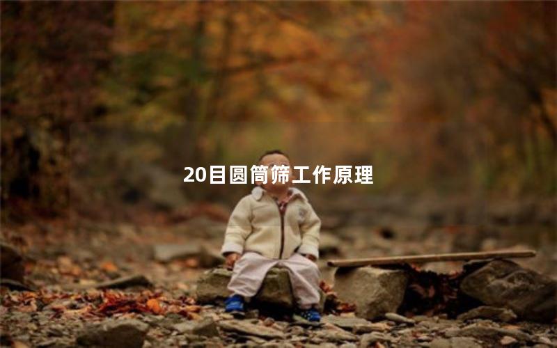 20目圆筒筛工作原理 20目圆筒筛工作原理