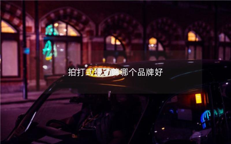 拍打式振动筛哪个品牌好